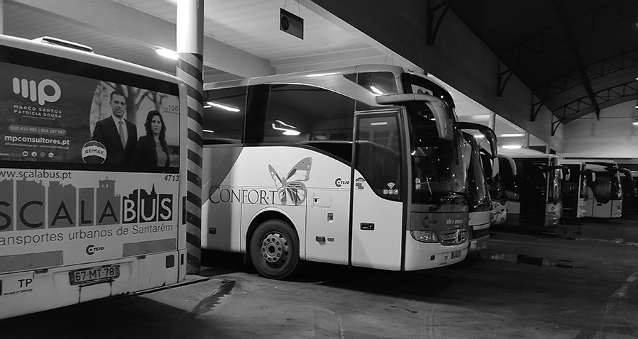 viaturas mundo pinguim