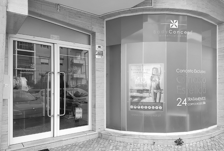 montra vinil mundo pinguim