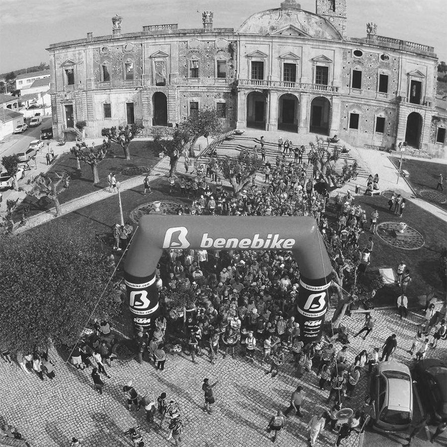 evento mundo pinguim