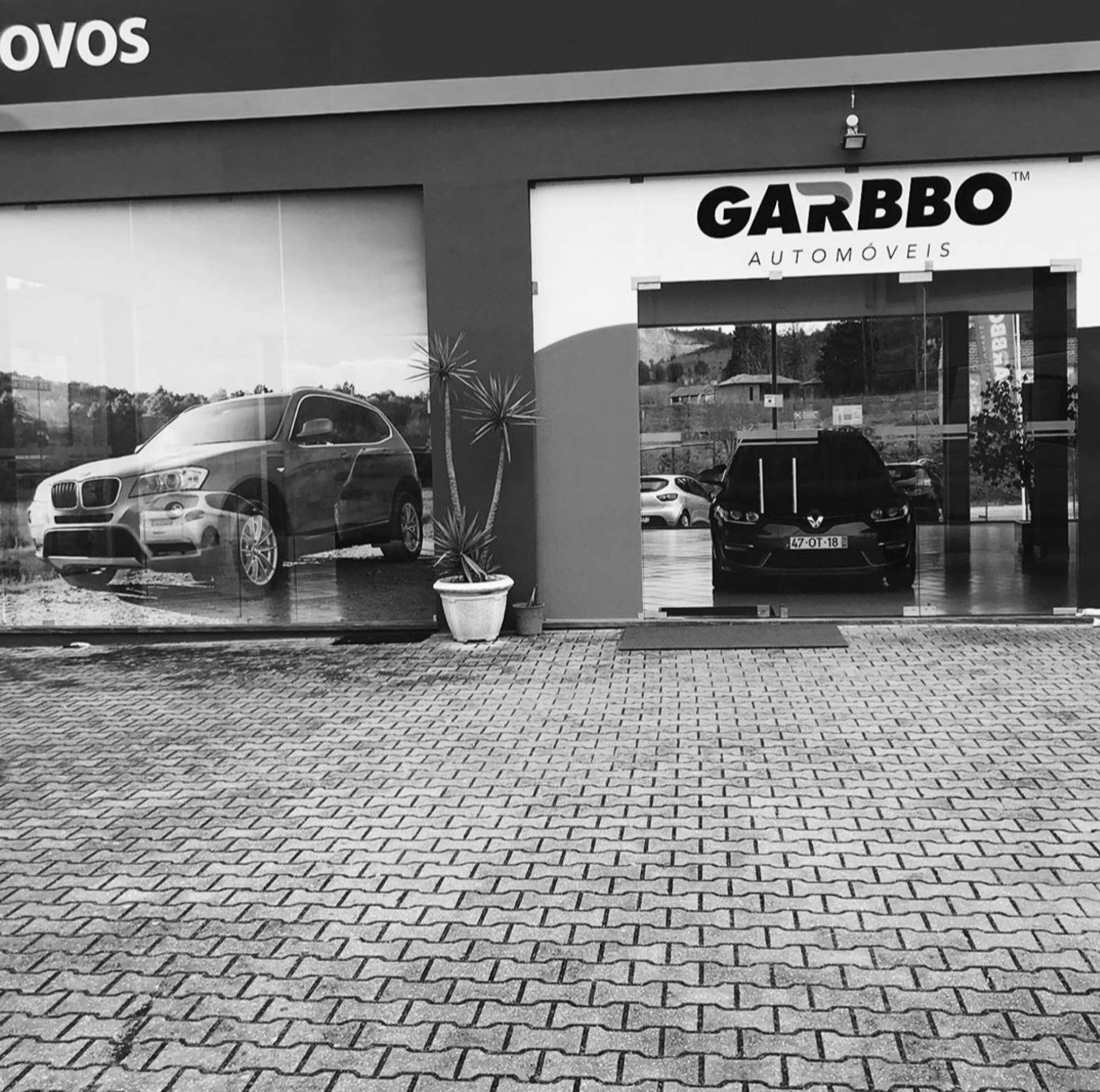 portefólio grande formato mundo pinguim