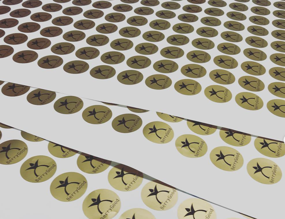 portefólio grande formato autocolantes berry good mundo pinguim