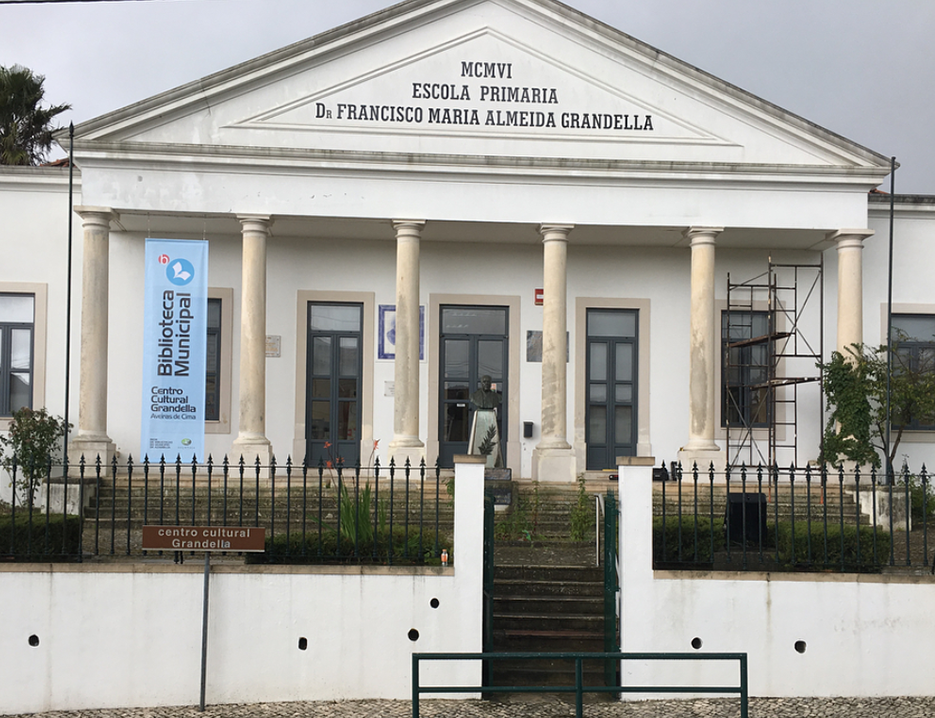 portefólio grande formato mundo pinguim