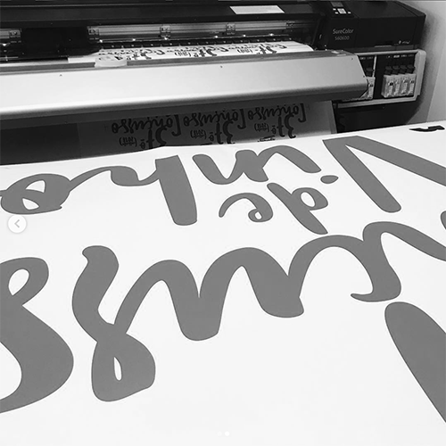 grande formato mundo pinguim