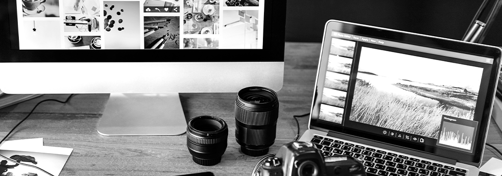 edição de video mundo pinguim