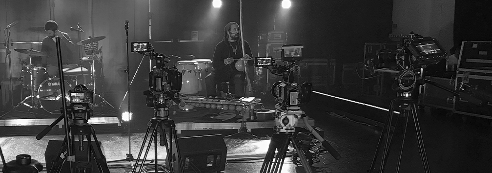 vídeo mundo pinguim