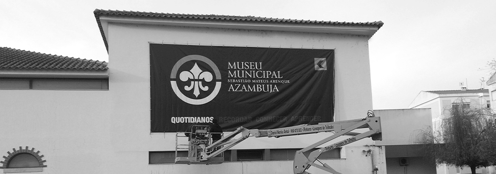 grande formato camara municipal azambuja mundo pinguim