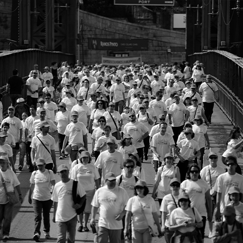 brindes e texteis mundo pinguim