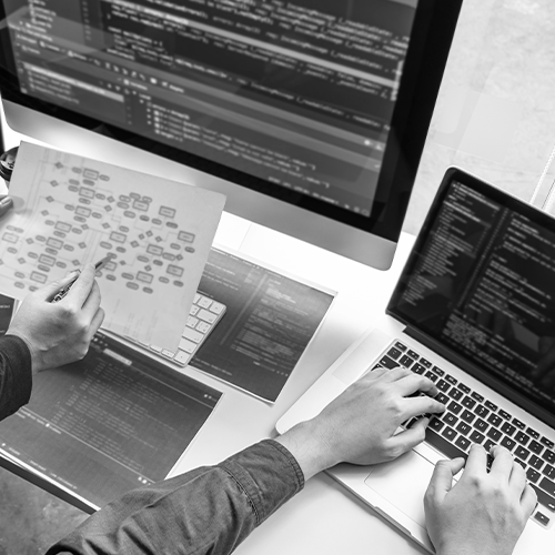 criação de websites mundo pinguim